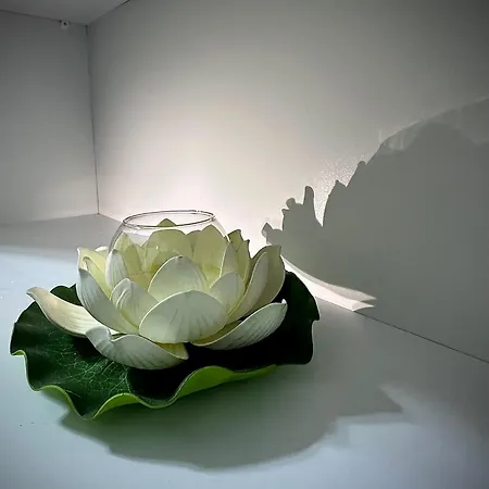 Willa New Bazaar Cozy Tirana