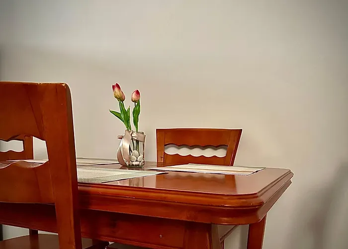 New Bazaar Cozy Tirana