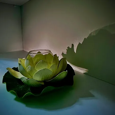 Βίλα New Bazaar Cozy Τίρανα